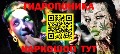 прущие грибы Малгобек