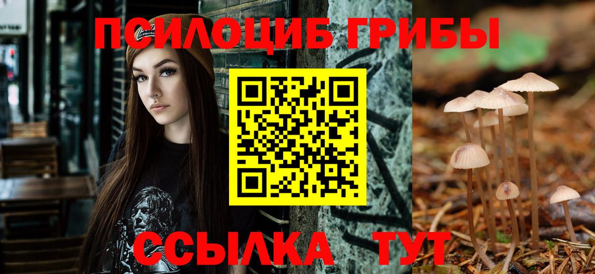 Псилоцибиновые грибы Cubensis  Вход с VPN  Егорьевск  Галлюциногенные грибы Magic Shrooms 